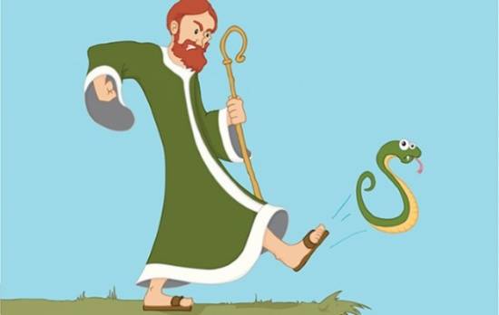لماذا لا توجد ثعابين في إيرلندا ؟