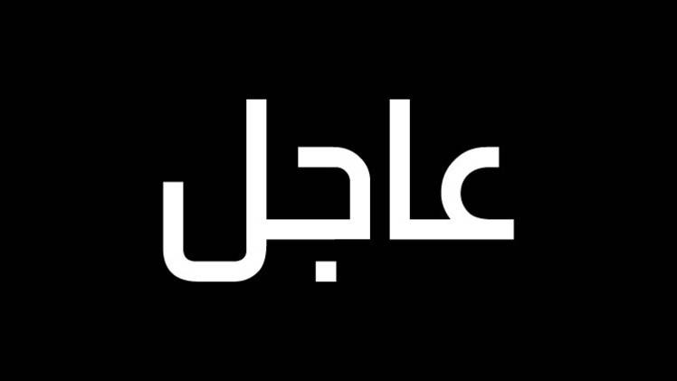 الأناضول: مقتل 16 مهاجرا غرقا بتحطم قاربهم قبالة السواحل التركية