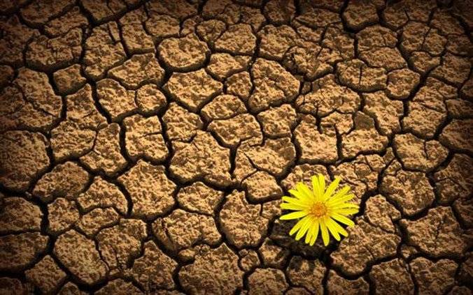 "ناسا" ترصد أسوأ موجة جفاف في دول الشرق الأوسط بينهم لبنان.. منذ ألف عام