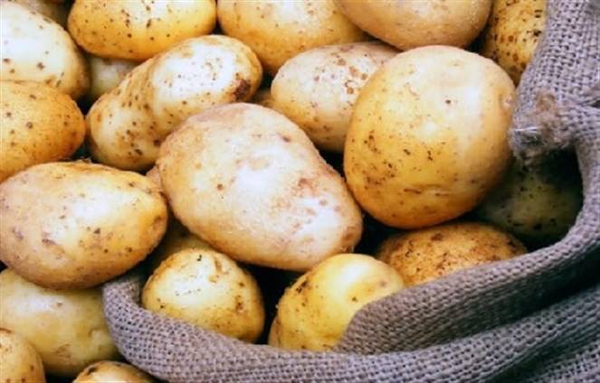 تحذير: لا تطبخ البطاطا بهذه الطريقة بعد اليوم...لانها تؤدي الى الوفاة