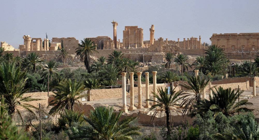 هروب مسلحي "داعش" من مدينة الرقة خوفا من الجيش السوري