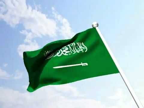 السعودية تعلن تأييد تركيا فيما تتخذه من إجراءات لحماية أمنها