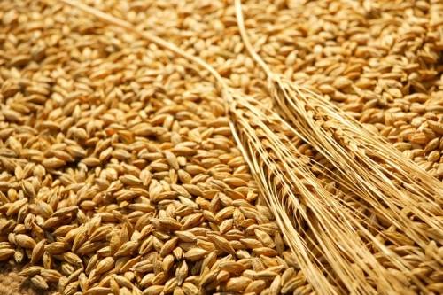 أيها اللبنانيون.. هذه هي الأفران التي تستورد القمح المسرطن