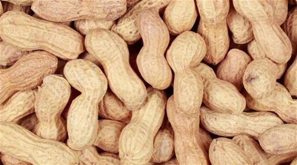 لماذا يعاني البعض من حساسية تجاه الفول السوداني؟