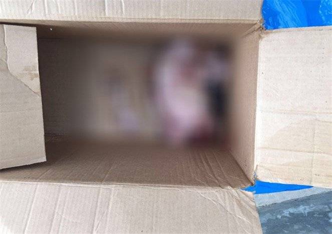 مقطوع الرأس ومبتور اليدين.. تفاصيل جريمة صيدا المروّعة!