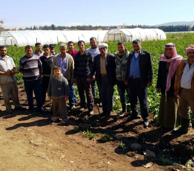 مزارعو عكار طالبوا بتعويضهم جراء أضرار العاصفة الأخيرة