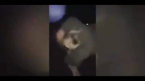 فيديو: 14 مراهقة يهاجمنَ فتاةً بوحشيّة ويوسعنها ضرباً في بريطانيا !