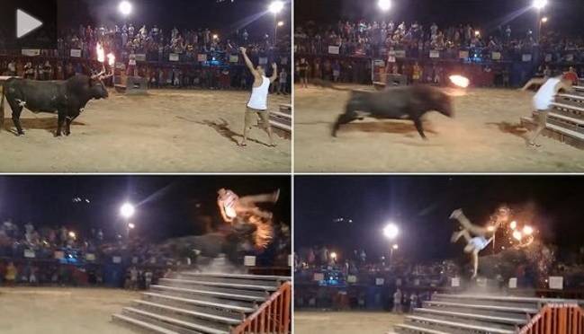بالفيديو.. ثور هائج يلقن مغامراً درساً قاسياً