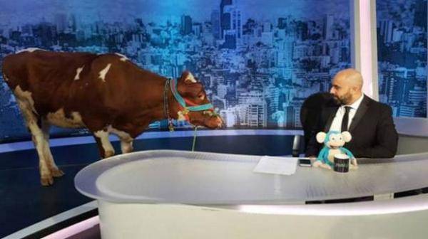 خطأ أحلام وأخطاء هشام حداد وعادل كرم!