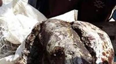 لن تصدق ... خرجا للصيد فعادا بـ30 مليون ريـال !!