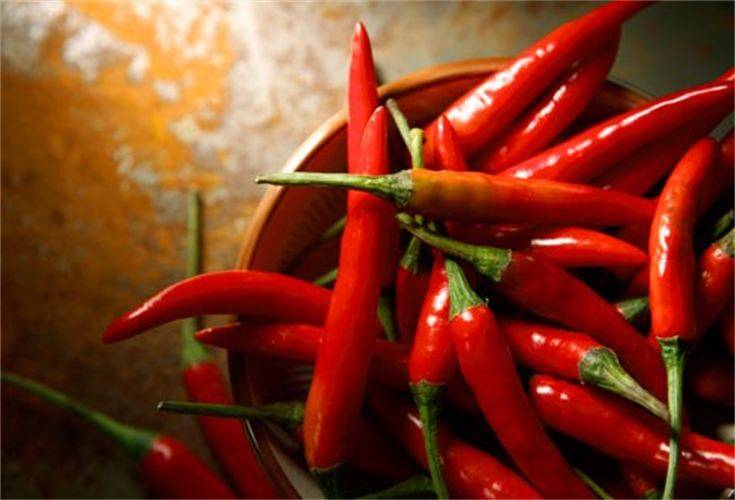 فوائد الفلفل الحار السحرية لمعالجة أمراض القلب والذبحة والقضاء على البدانة والديدان المعوية