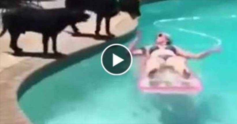 بالفيديو: شاهد كلب ينتقم من صاحبته في حمام السباحة بطريقة مثيرة ومحرجة