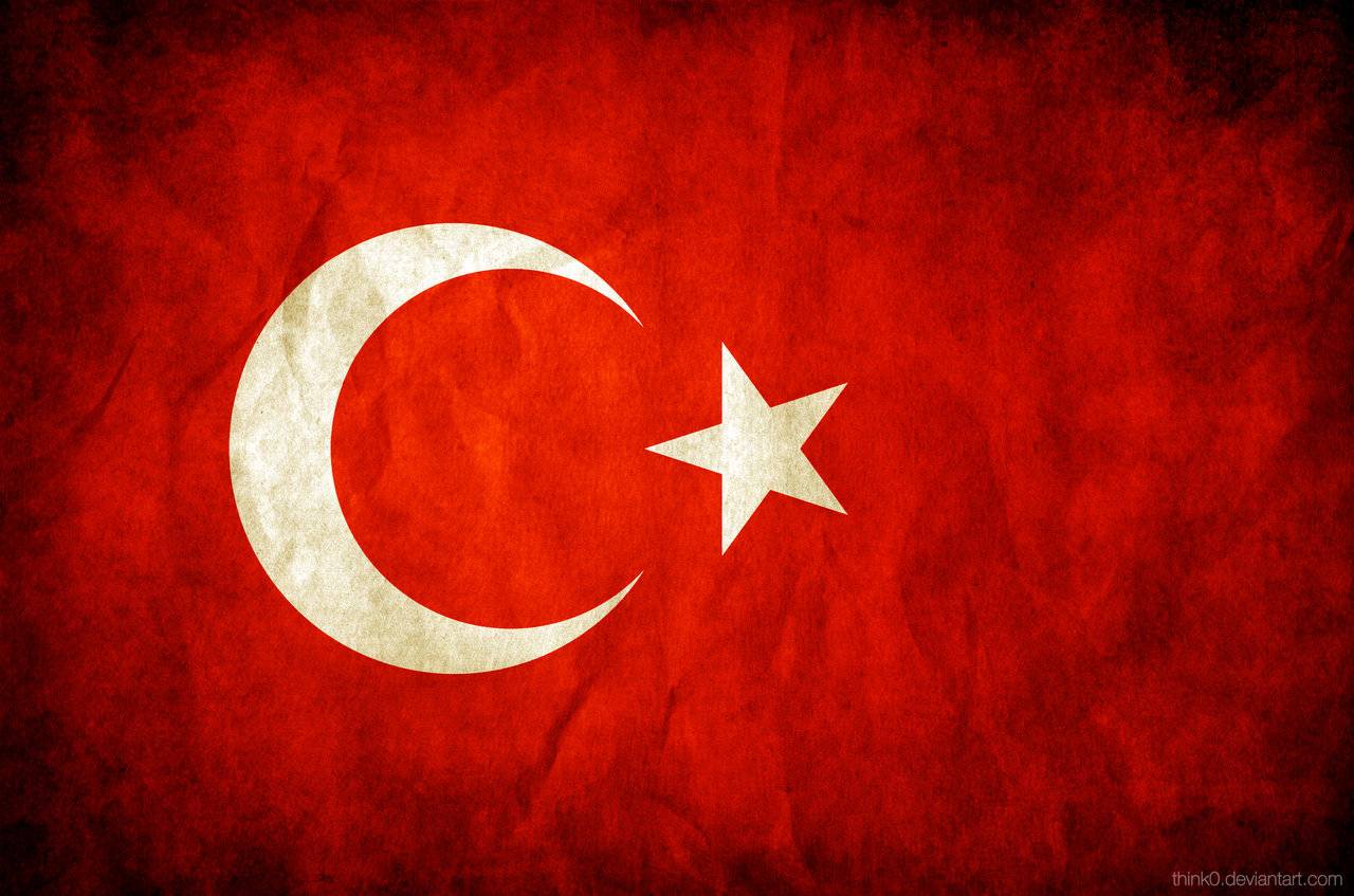 تركيا تعتقل امرأة قبل تنفيذها لهجوم انتحاري