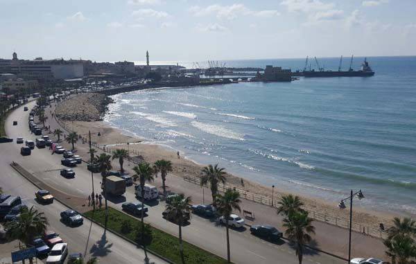 بلدية صيدا توعز للبدء بمكافحة البرغش!