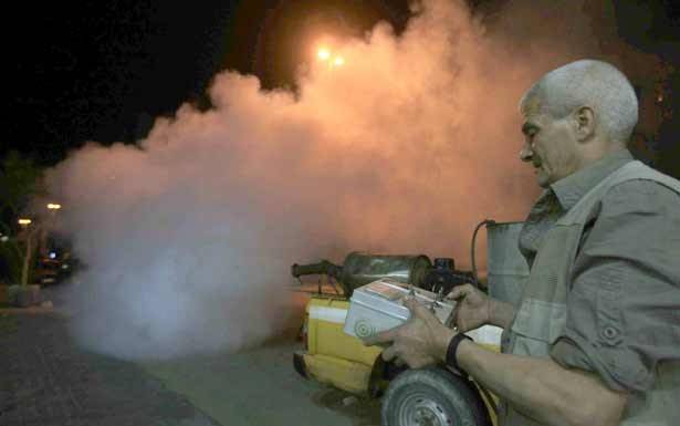 استنفار عام في صيدا لمواجهة اجتياح جحافل الحشرات الطائرة