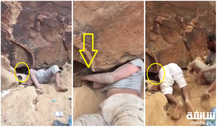 بالفيديو: زحف تحت الصخور ليخرج معه ما لم يكن متوقع!