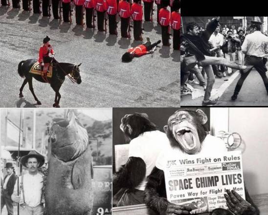 11 صورة تاريخية مدهشة لم تنل نصيبها في الشهرة!
