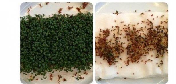 لن تجرؤ على النوم بجوار هاتفك بعد رؤية هذه الصورة المرعبة!
