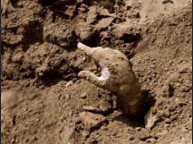 غُسلت وكُفنت الخميس.. ولحظة دفنها الجمعة حصل ما لم يكن بالحسبان!