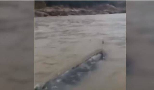 صيادون يعثرون على مخلوق بحري غامض . بالفيديو