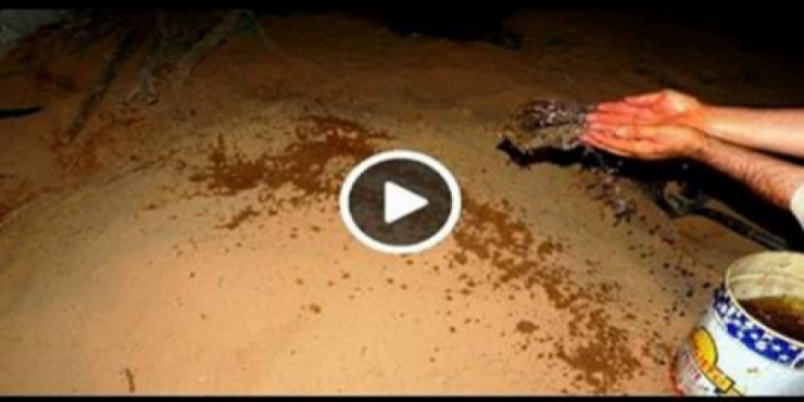 لماذا يتم رش الماء على القبور عند الدفن؟