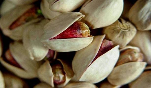 ماذا يحدث إذا أكل الرجل 100 غرام من الفستق يوميًا؟