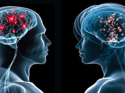 من الأذكى المرأة أم الرجل؟