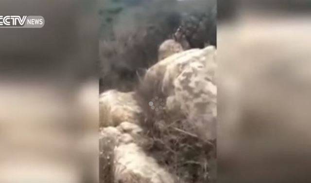 بالفيديو.. لحظة سقوط سائح من فوق سور الصين العظيم