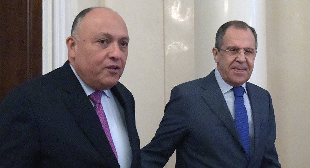 اتصال هاتفي بين شكري ولافروف يكشف عن اجتماع قريب حول سوريا