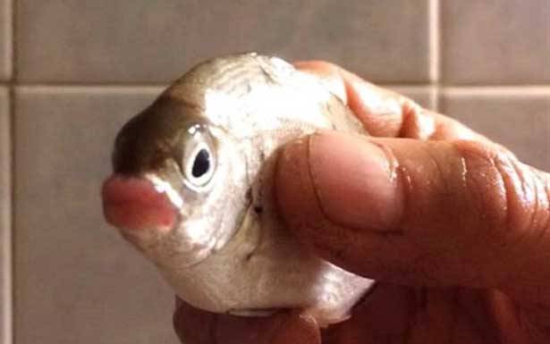عوارض غريبة تهدّد اللبنانيين !!