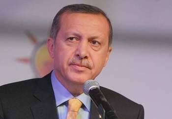 اردوغان : تركنا وحدنا في مواجهة داعش