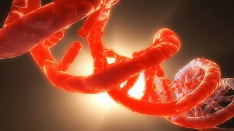 الجينات توقفت عن التطور قبل 3 مليارات سنة
