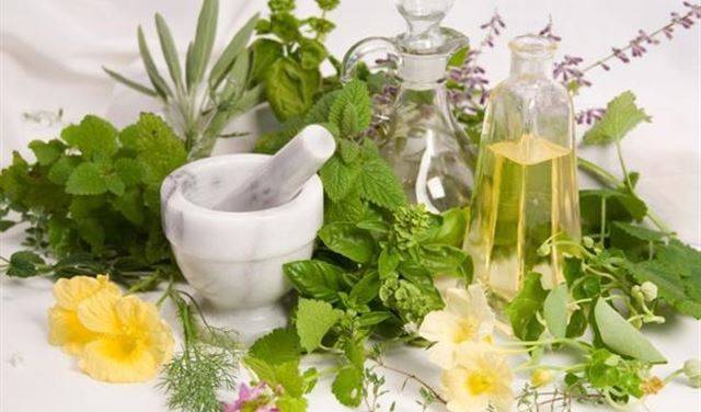 5 أعشاب سحرية تقوي الذاكرة وتساعد على التركيز