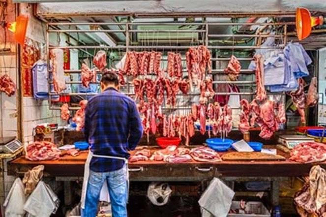 بالصور: شعر بالغثيان وفقدان الوزن.. ولم يصدق الأطباء ماذا اكتشفوا في امعائه!