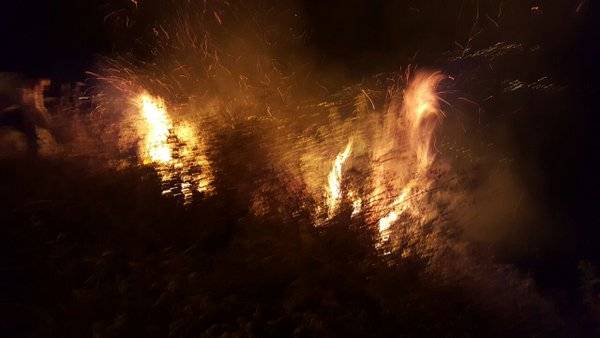 اندلاع حريق في فتري – جبيل اثر اطلاق مفرقعات نارية بعد صدور النتائج الاولية للانتخابات البلدية