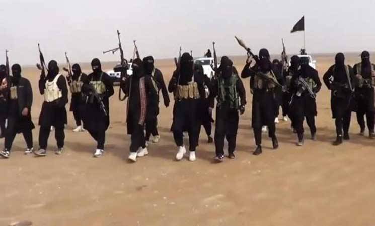 وزارة الدفاع الأميركية: مقاتلو "داعش" خسروا نصف الأراضي التي احتلوها في العراق