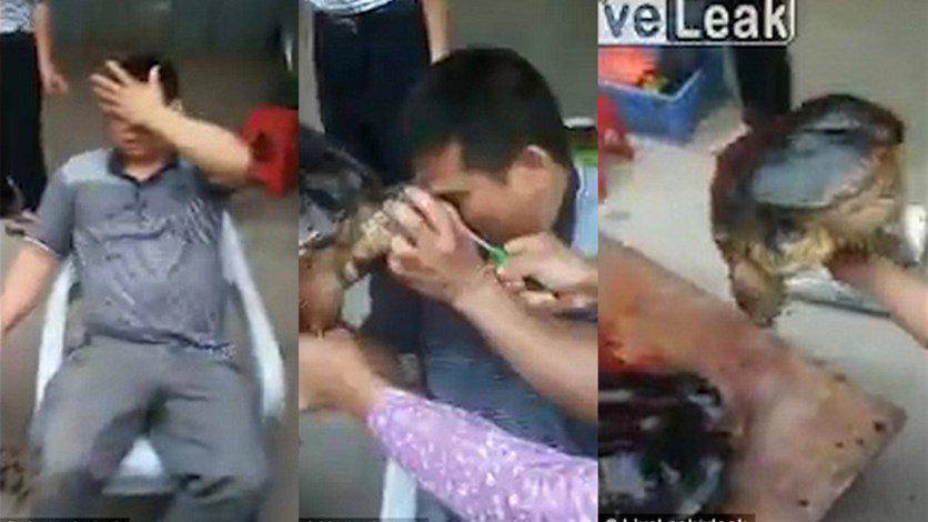 بالفيديو: قطّع السلحفاة إلى نصفين فعضّته بشراسة