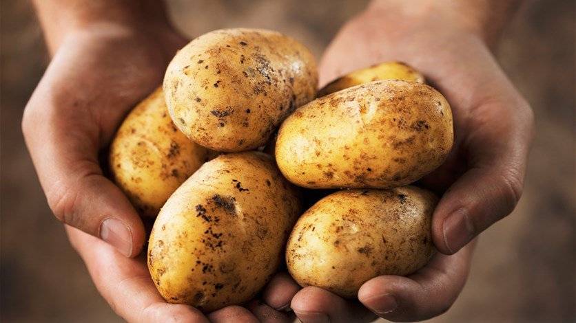 البطاطا وخطره على ضغط الدمّ