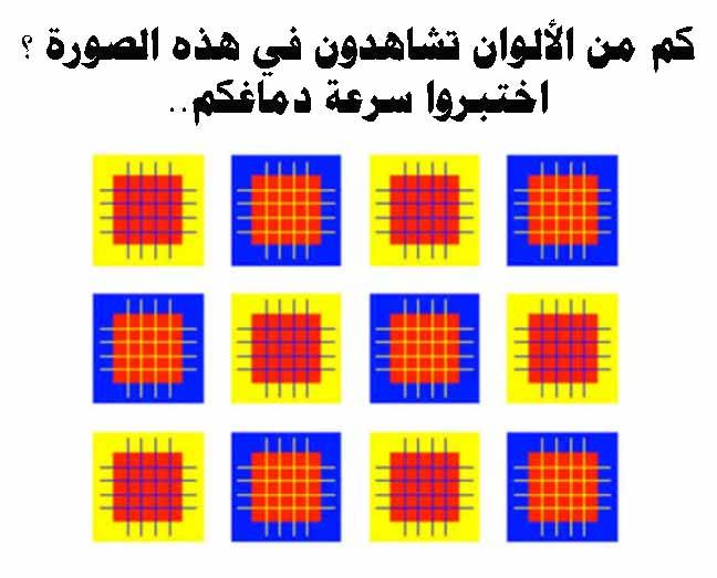 كم من الألوان تشاهدون في هذه الصورة ؟ اختبروا سرعة دماغكم