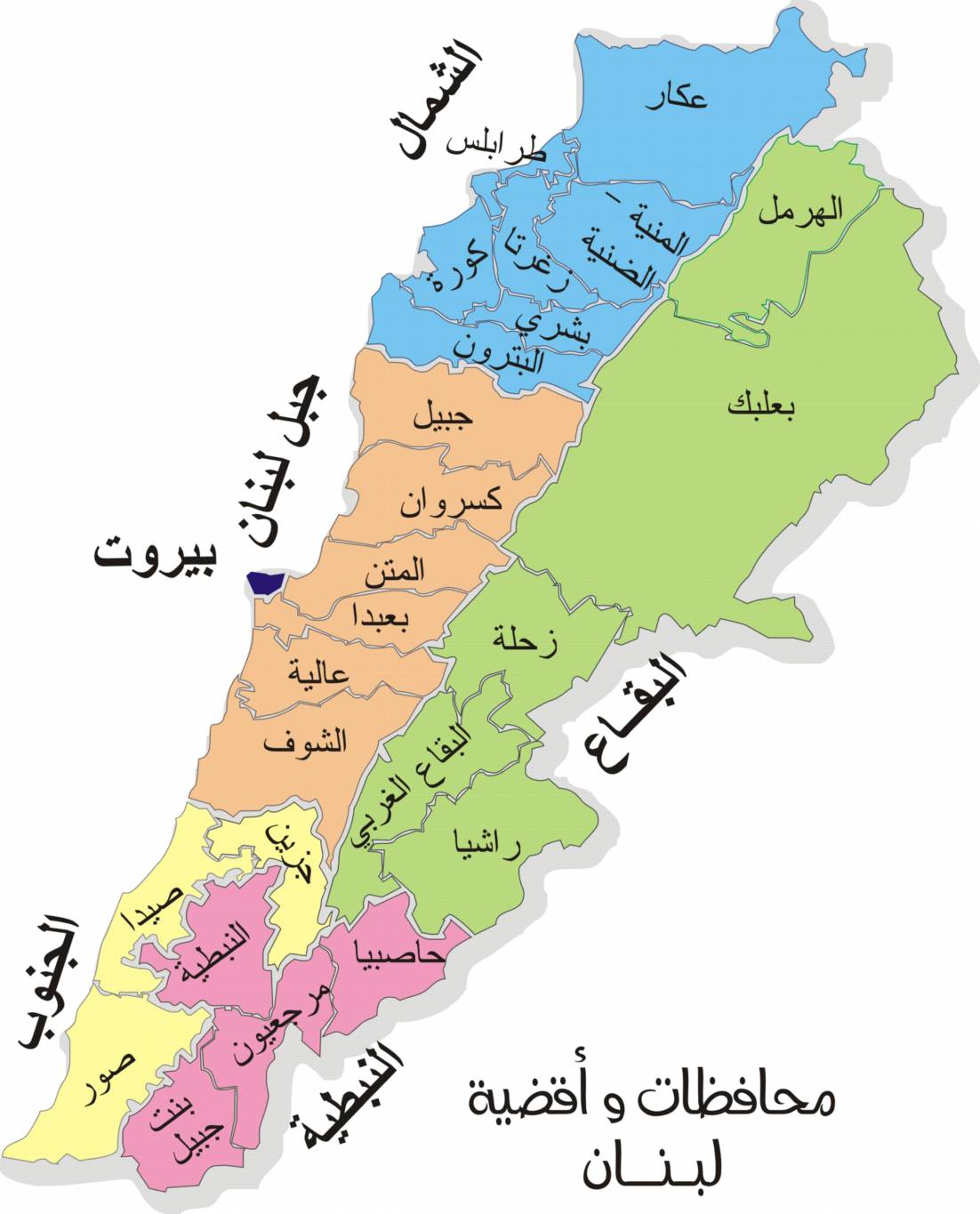 بالأرقام واللوائح.. خارطة الانتخابات البلدية في جنوب لبنان