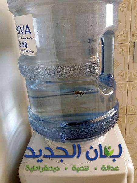 بالصور : اتبهوا الى ما قد تجدونه في عبوات المياه المكررة في لبنان قبل الشرب منها..