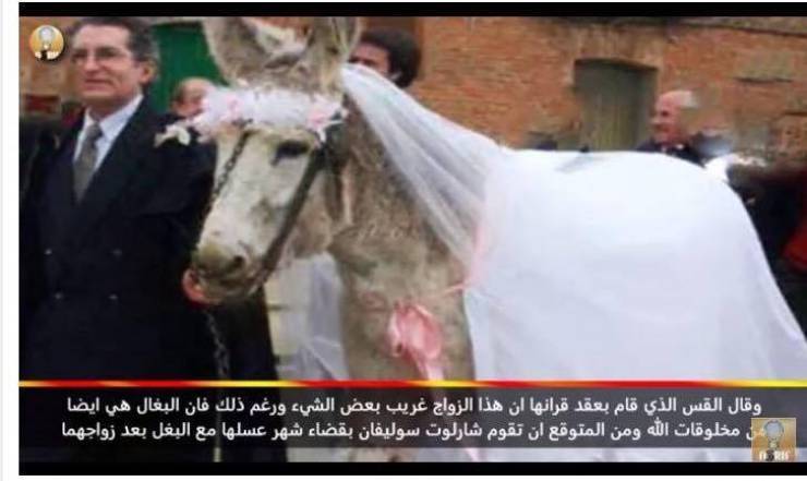 بالفيديو: أشخاص يتزوجون من أشياء غير معقولة !