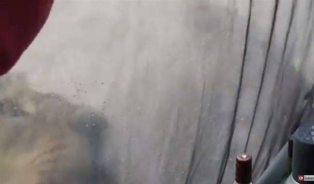 أسود تهاجم سياحاً داخل خيمتهم..وهذا ما حصل