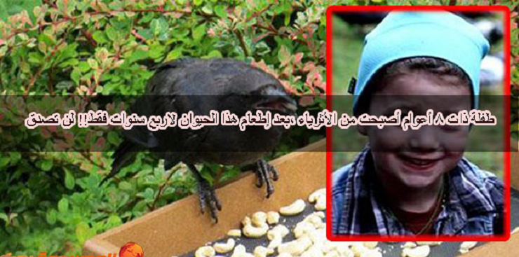 طفلة أصبحت من الأثرياء بعد إطعامها هذا الطير لـ 4سنوات فقط !! (صورة)