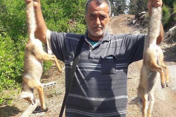 الثعالب الحمر و"الجنوبيون الخضر"