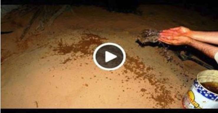 لماذا يتم رش الماء على القبور عند الدفن؟
