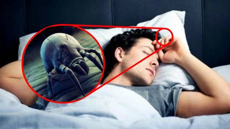 فيديو: 10 حقائق مخيفة لا تعرفها عن سريرك!