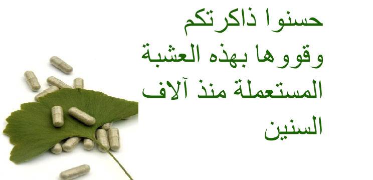 حسنوا ذاكرتكم وقووها بهذه العشبة المستعملة منذ آلاف السنين
