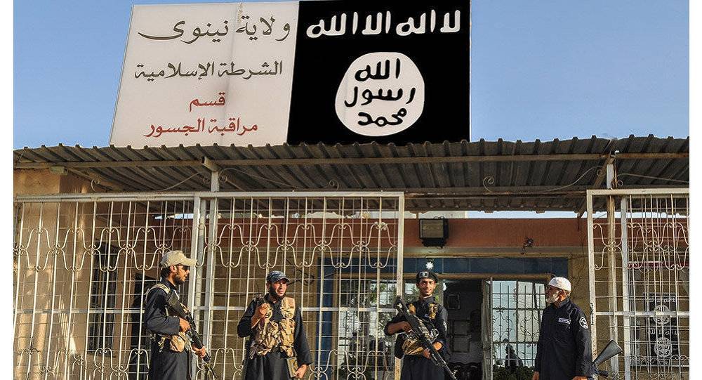 "داعش" ينقل كنزا من الفلوجة إلى الموصل