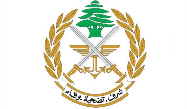 الجيش: توقيف 12 مصرياً في جسر الباشا